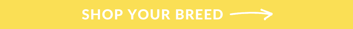 Shop Your Breed