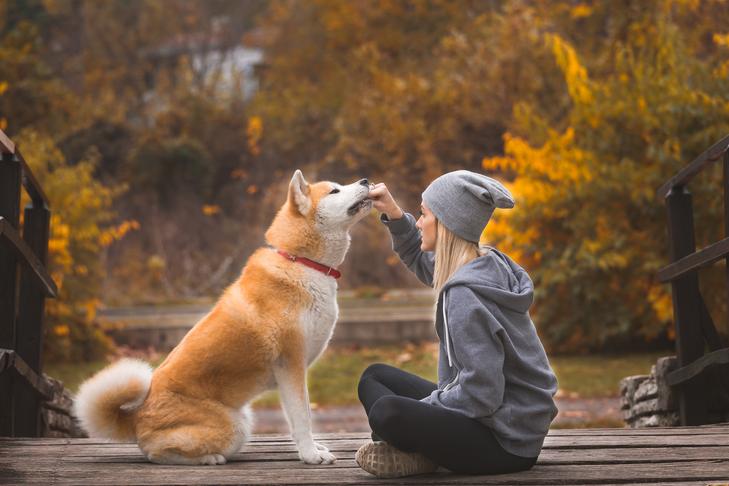 The Right Treats Make the Best Rewards