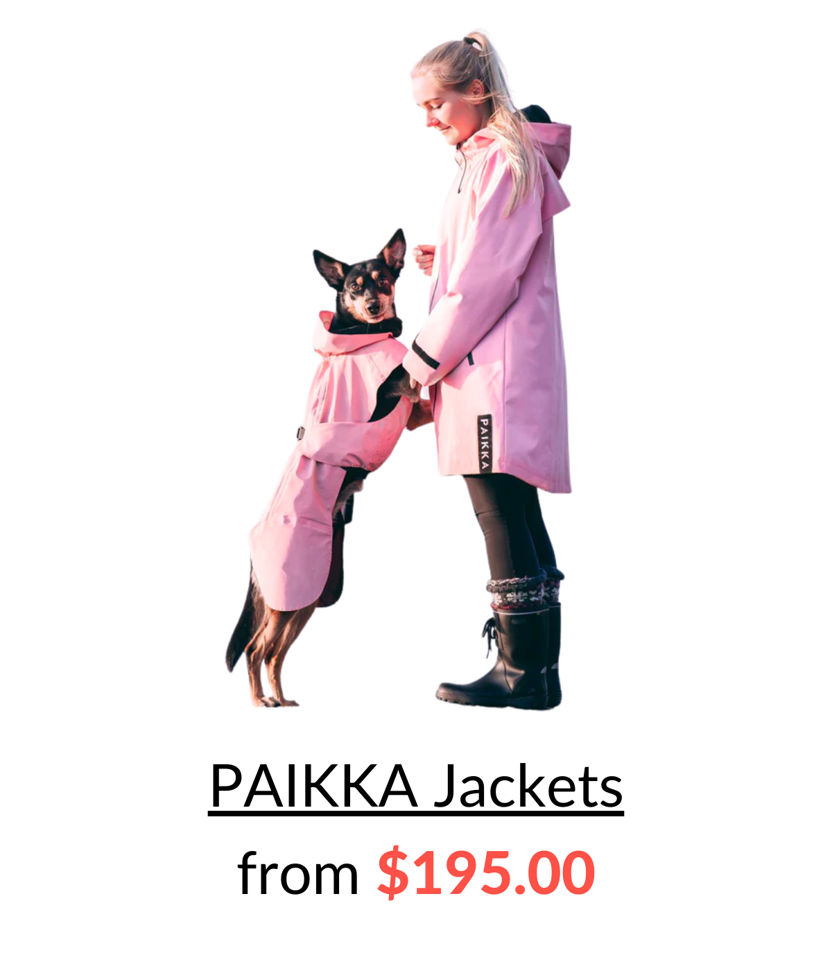 Shop Paikka