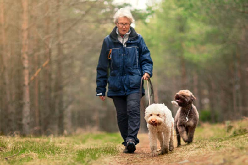 Everyday Ways to Reduce the Risk of Cancer in Your Dog