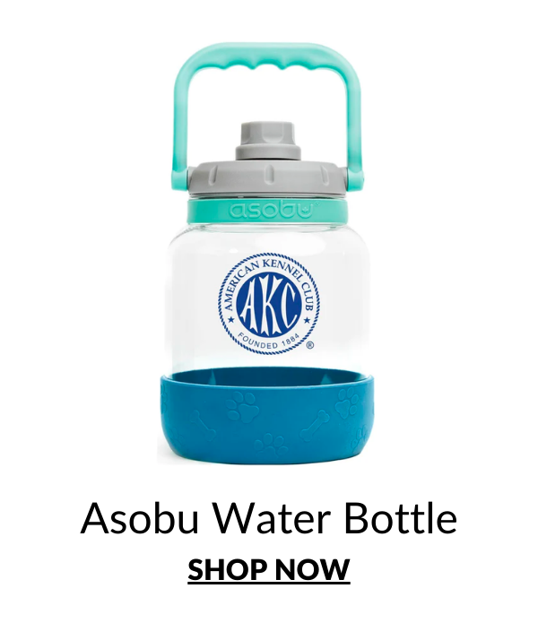 Shop The Asobu Water Bottle