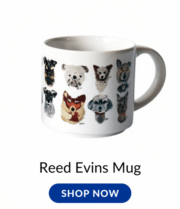 Shop Reed Evins