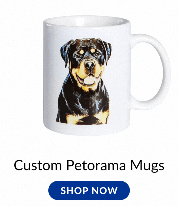 Create a Custom Mug with Petorama