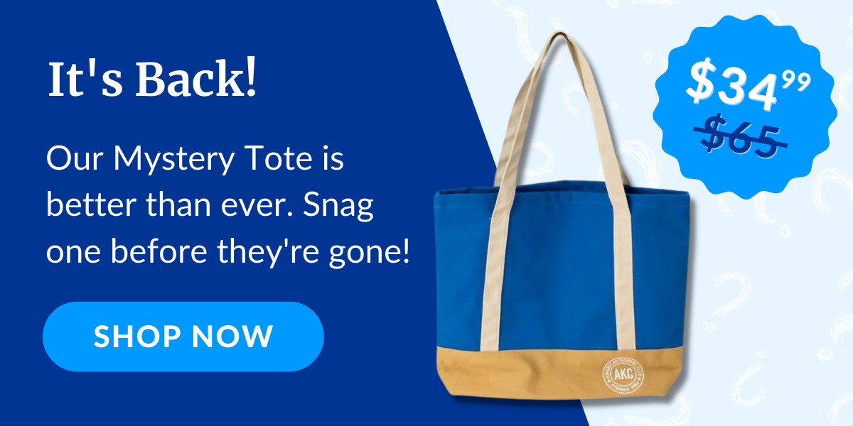 The Mystery Tote is Back!