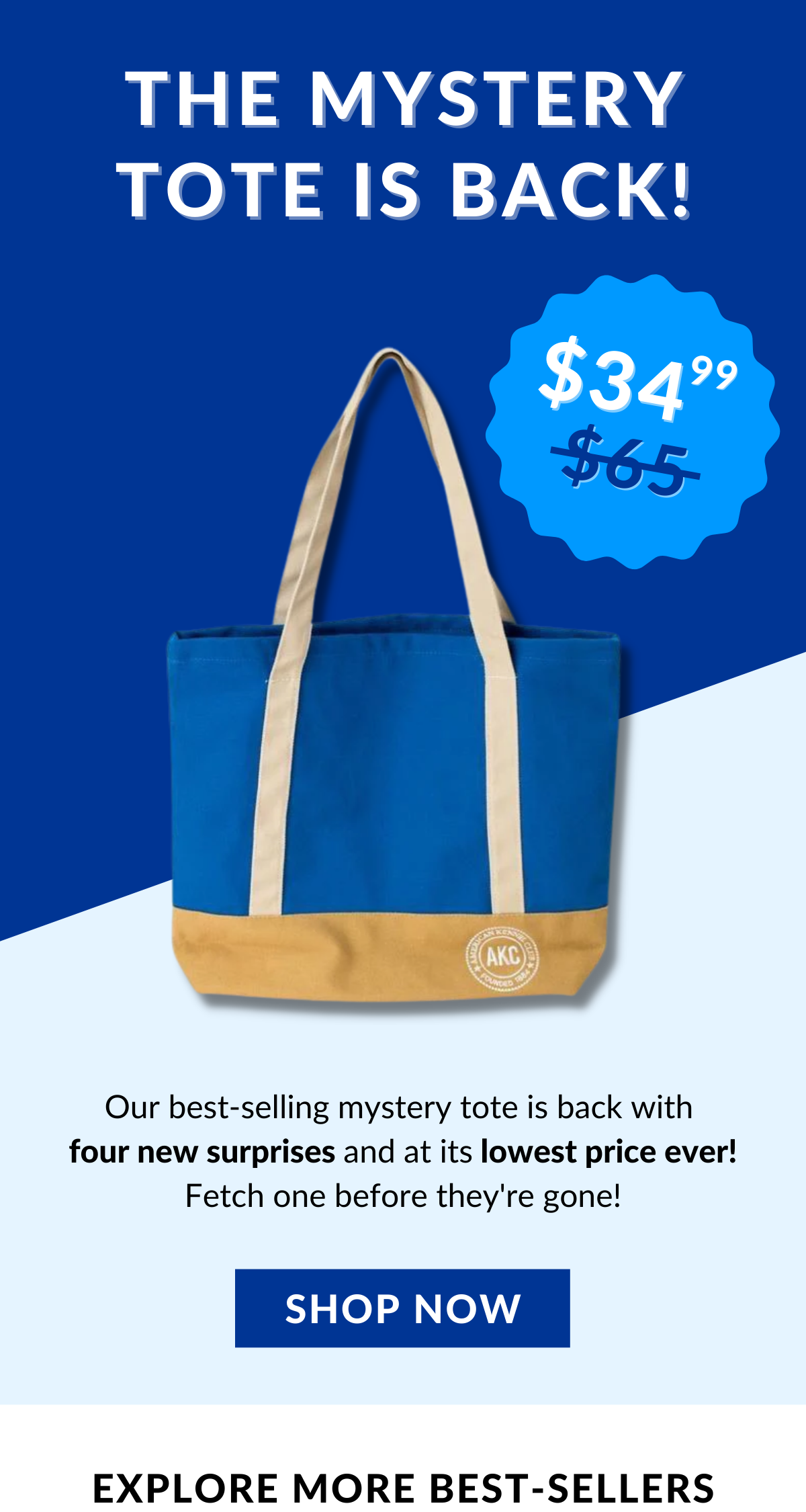 Shop The Mystery Tote