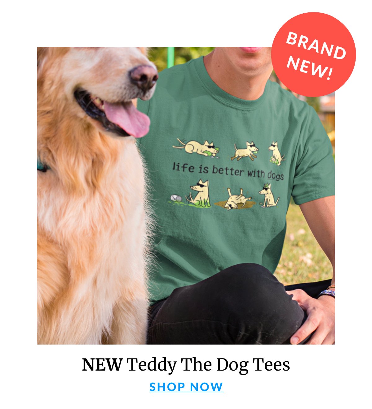 Shop NEW Teddy Designs