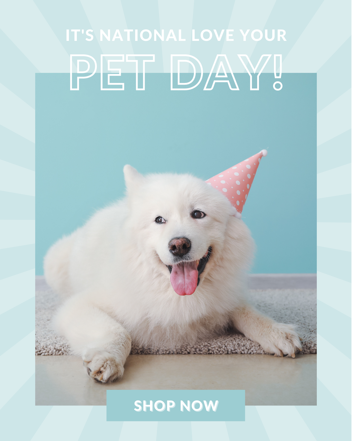 It's National Love Your Pet Day!