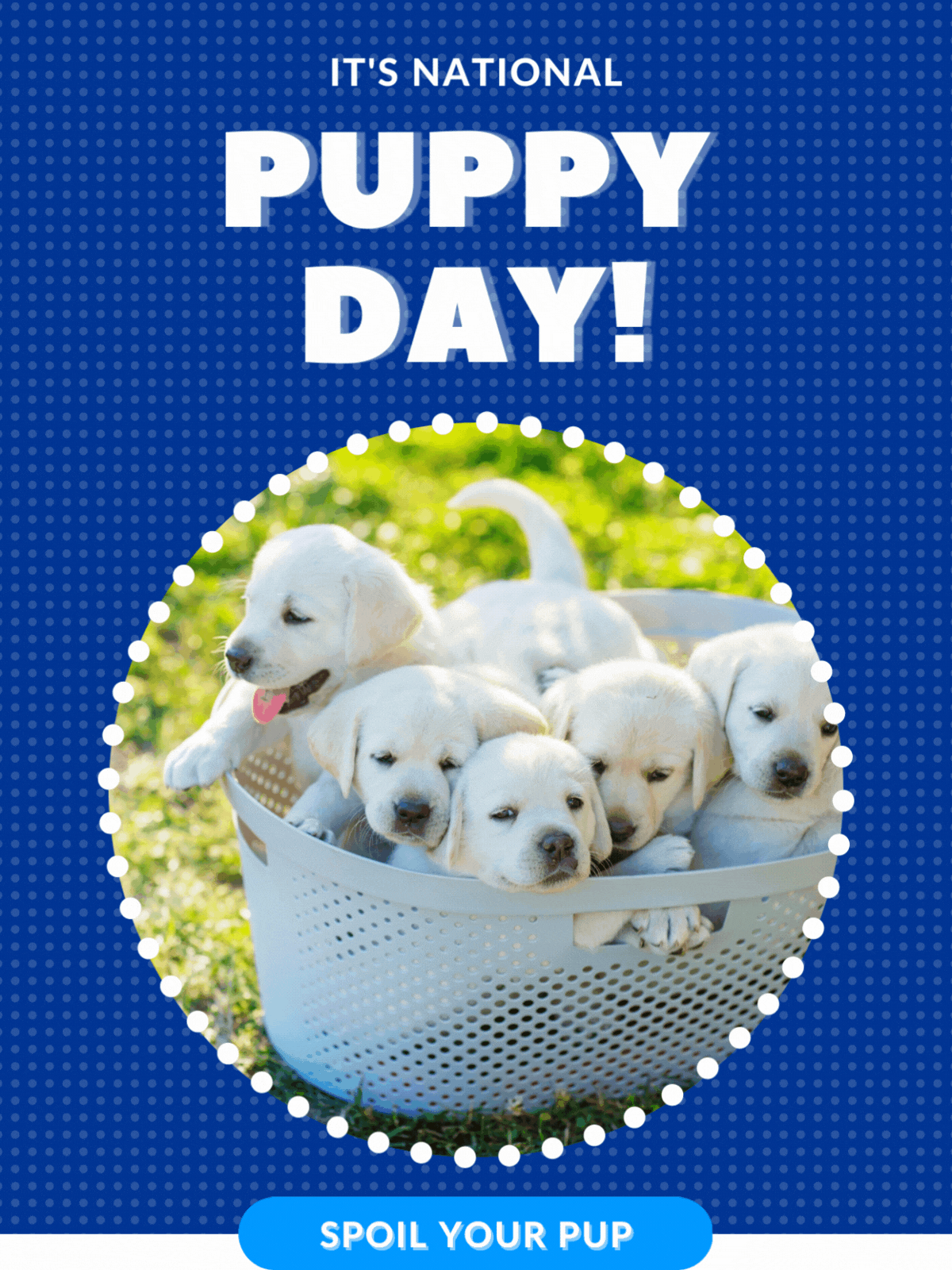 It's National Puppy Day!