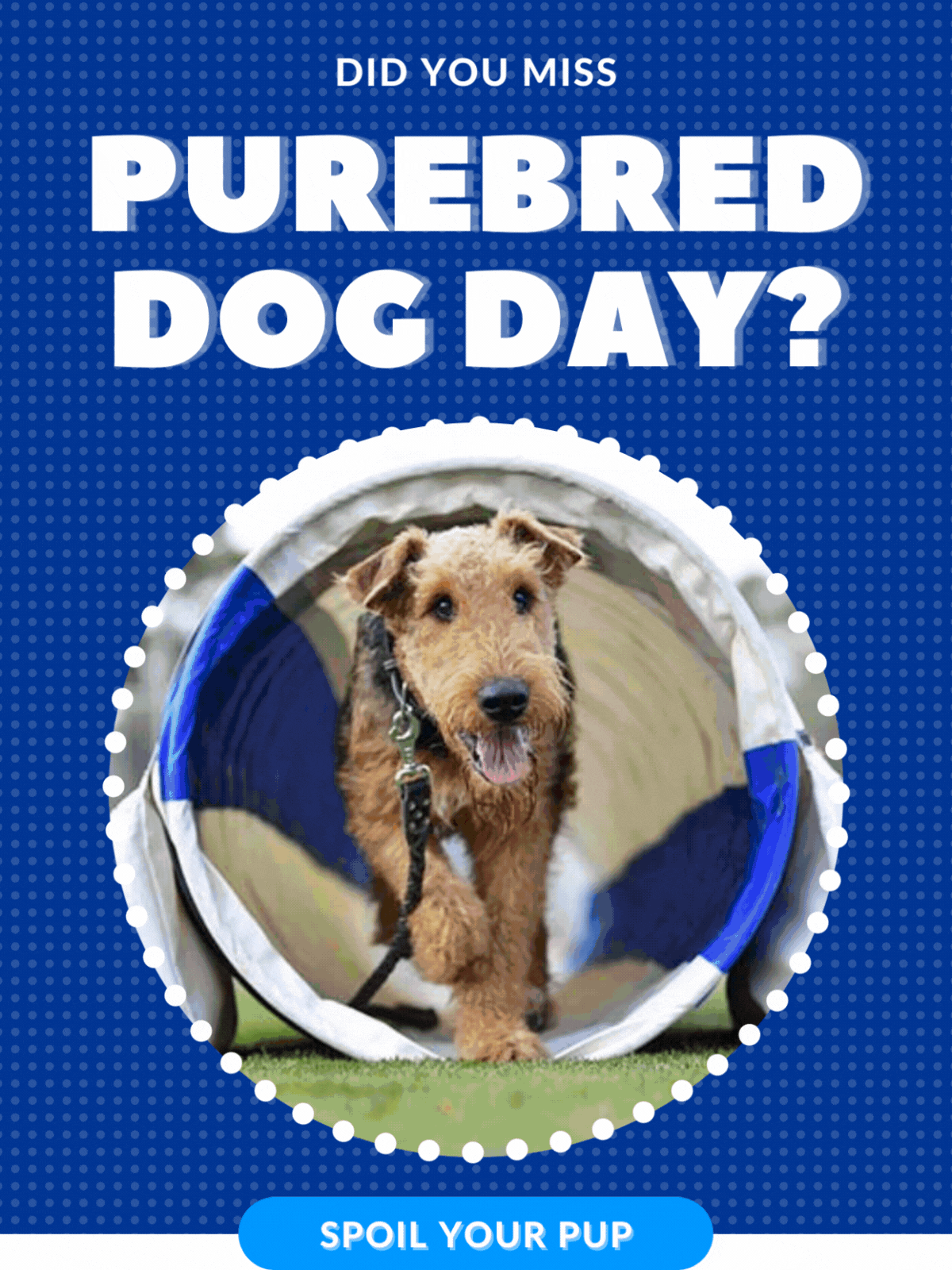 Celebrate Your Purebred Pup!