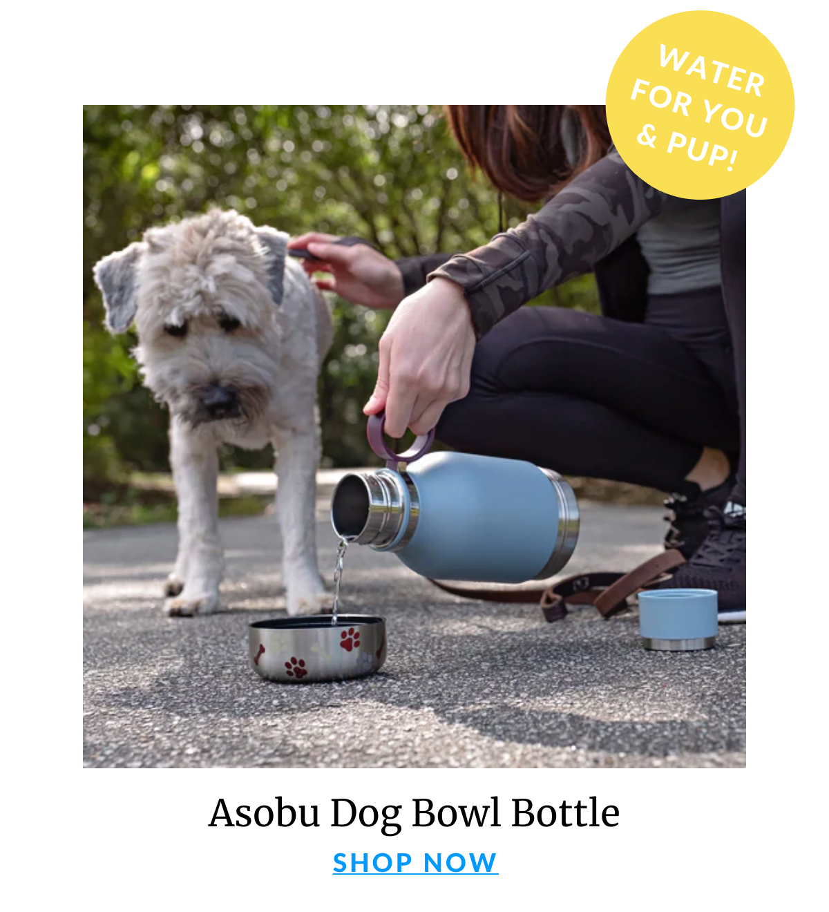 Shop The Asobu Bottle