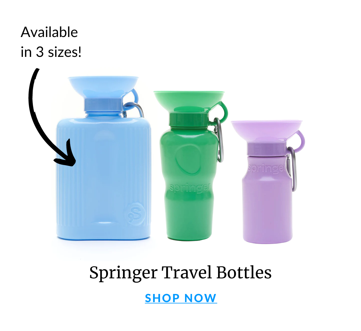 Shop Springer Bottles