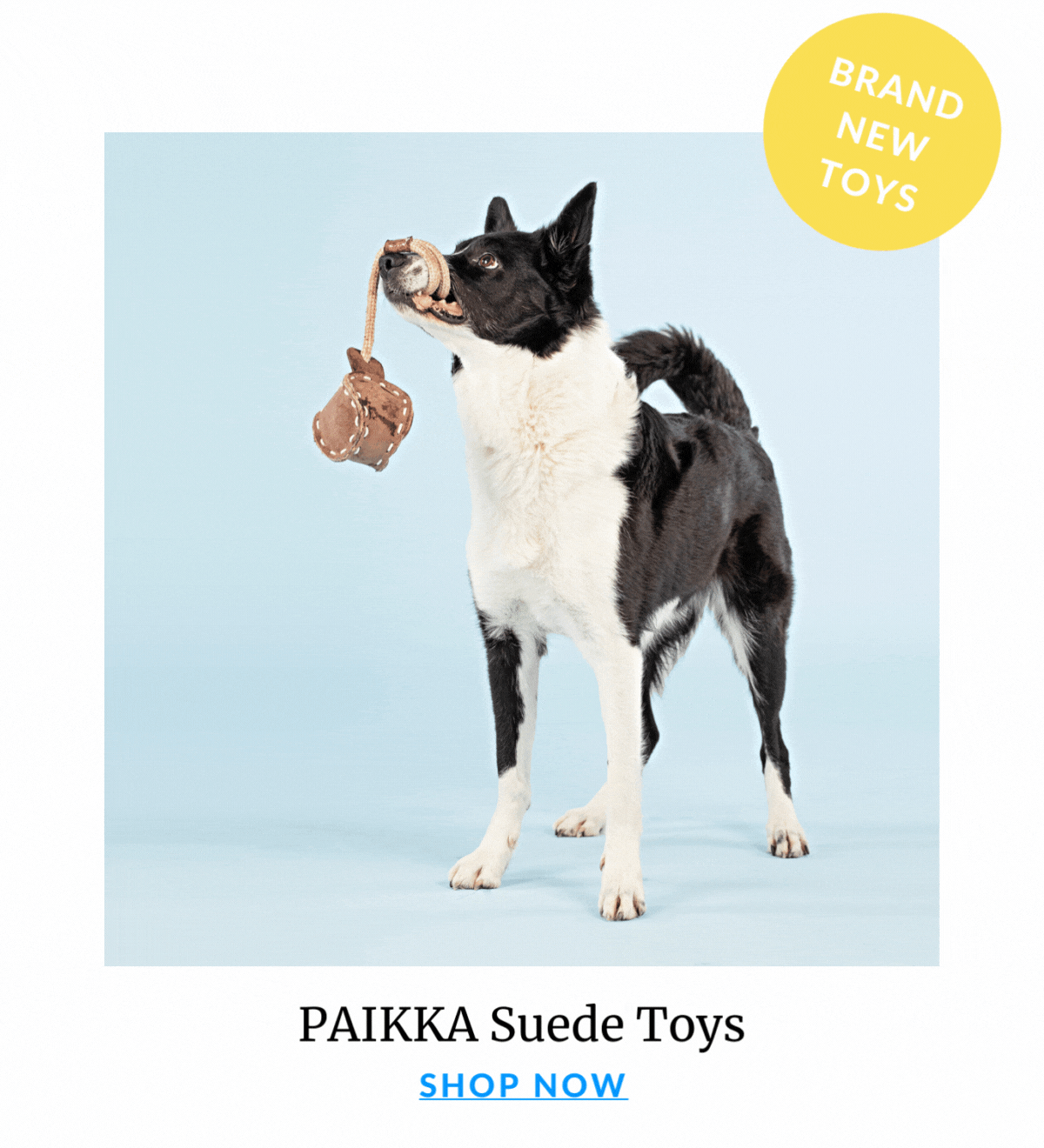 Shop Paikka Toys