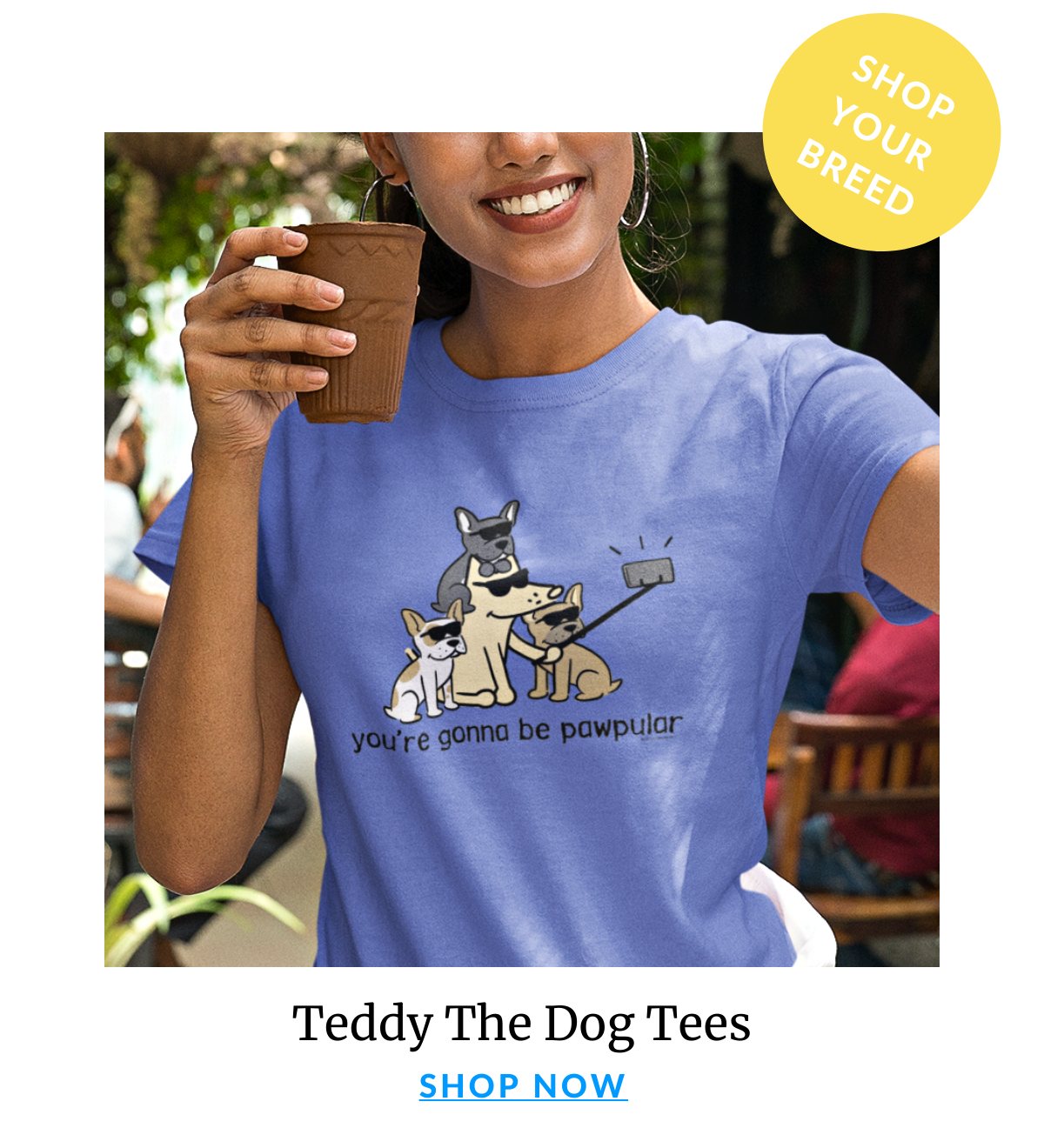 Shop Teddy By Breed