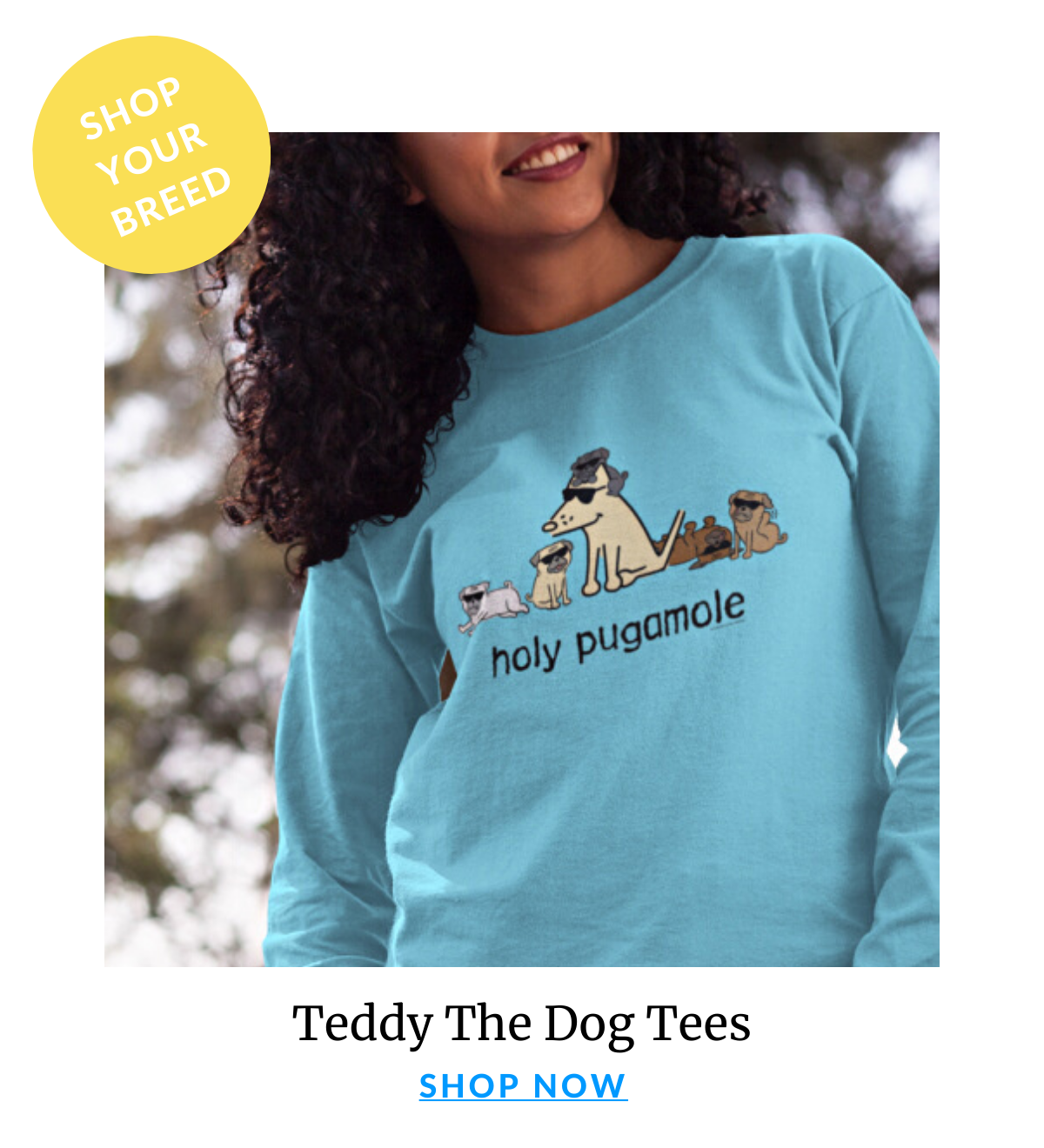 Shop Teddy By Breed