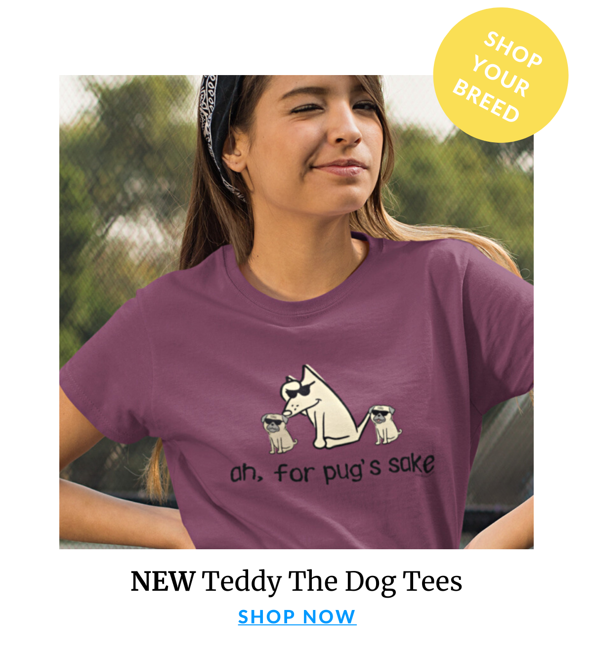 Shop Teddy The Dog
