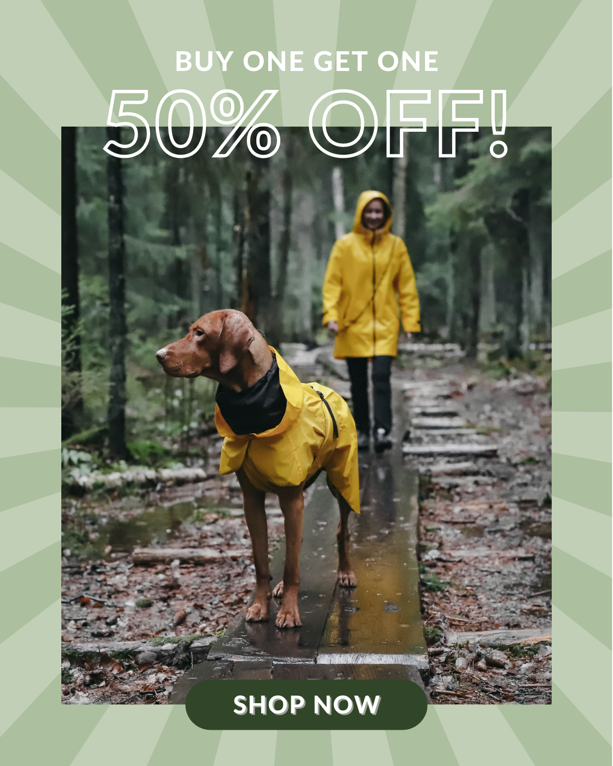 BOGO 50% OFF!