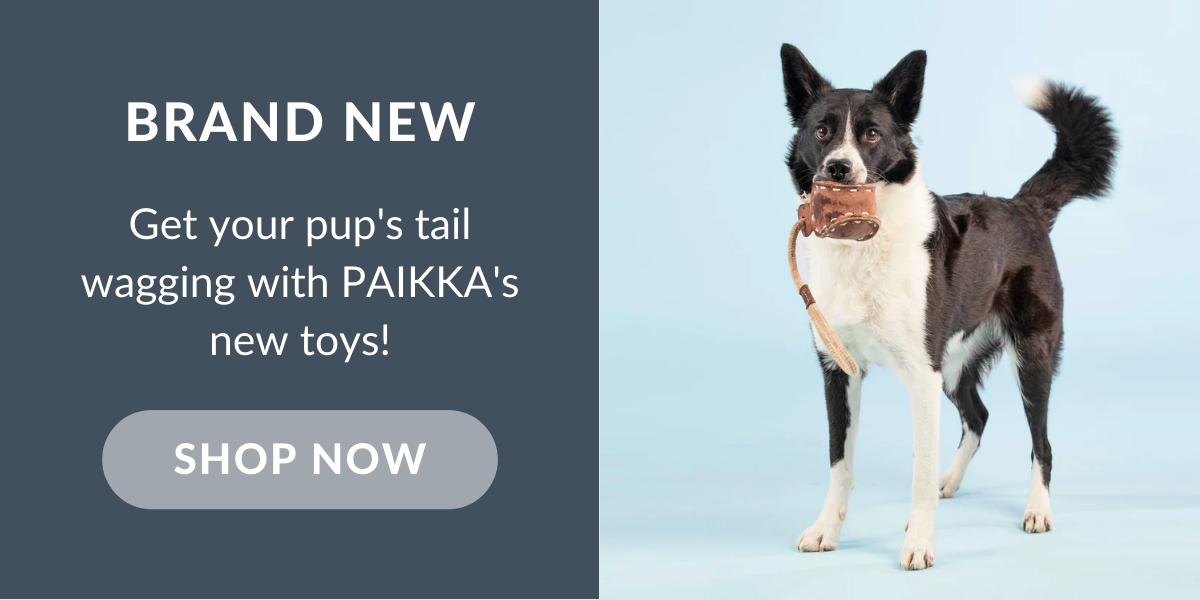 Explore NEW PAIKKA Toys