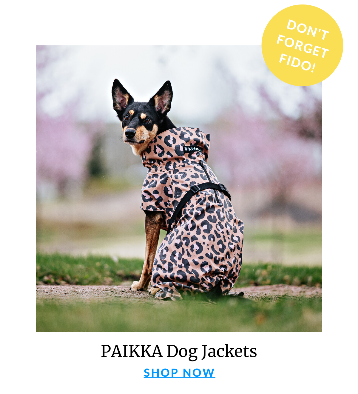 Shop The Paikka Jacket Deal