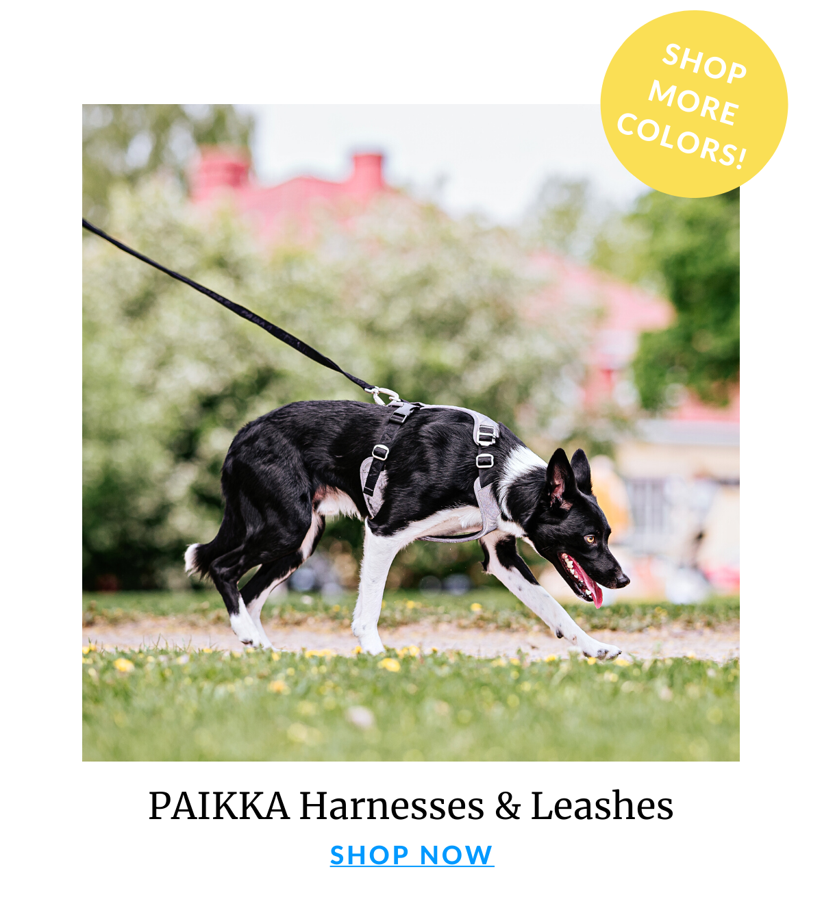 Shop Paikka 