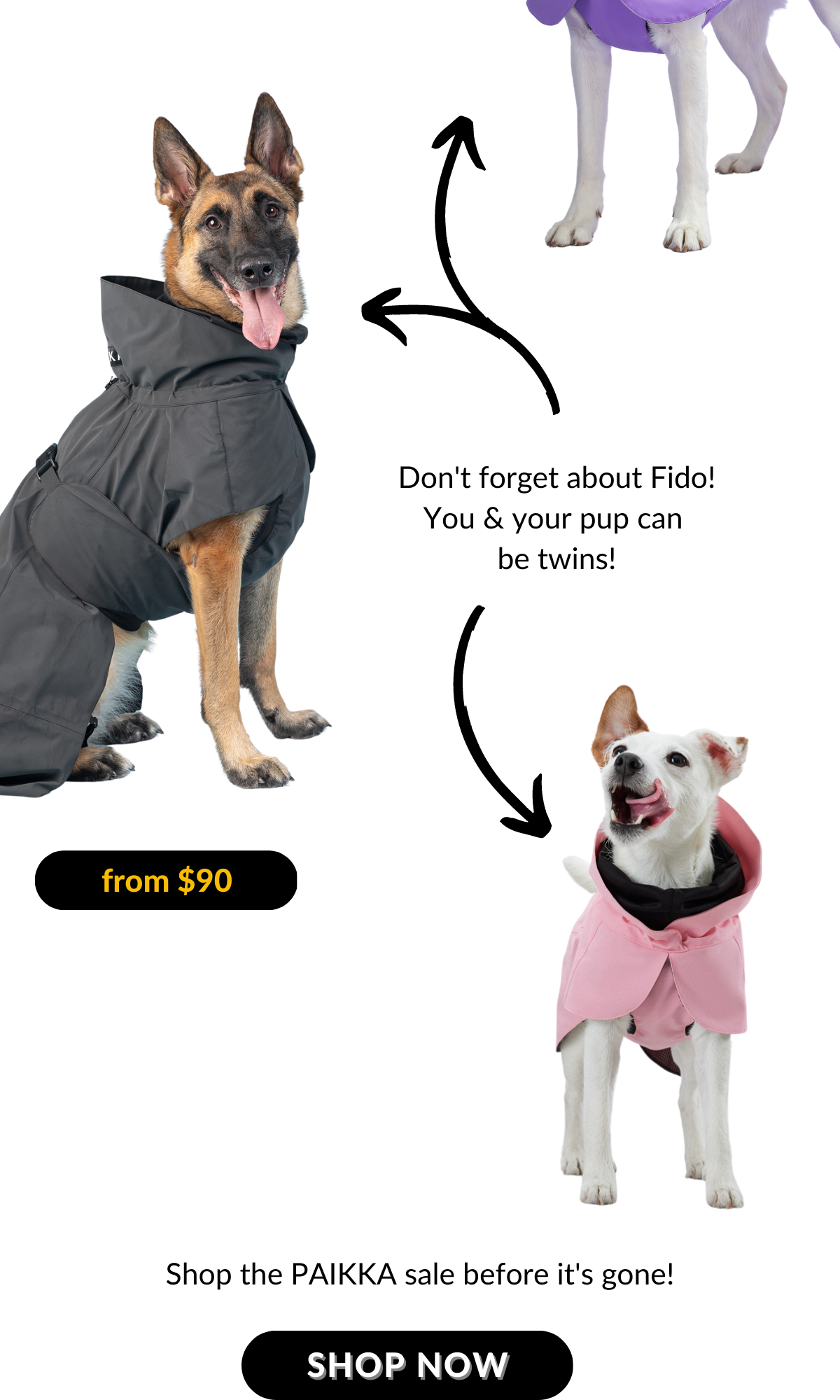 BOGO 50% OFF!