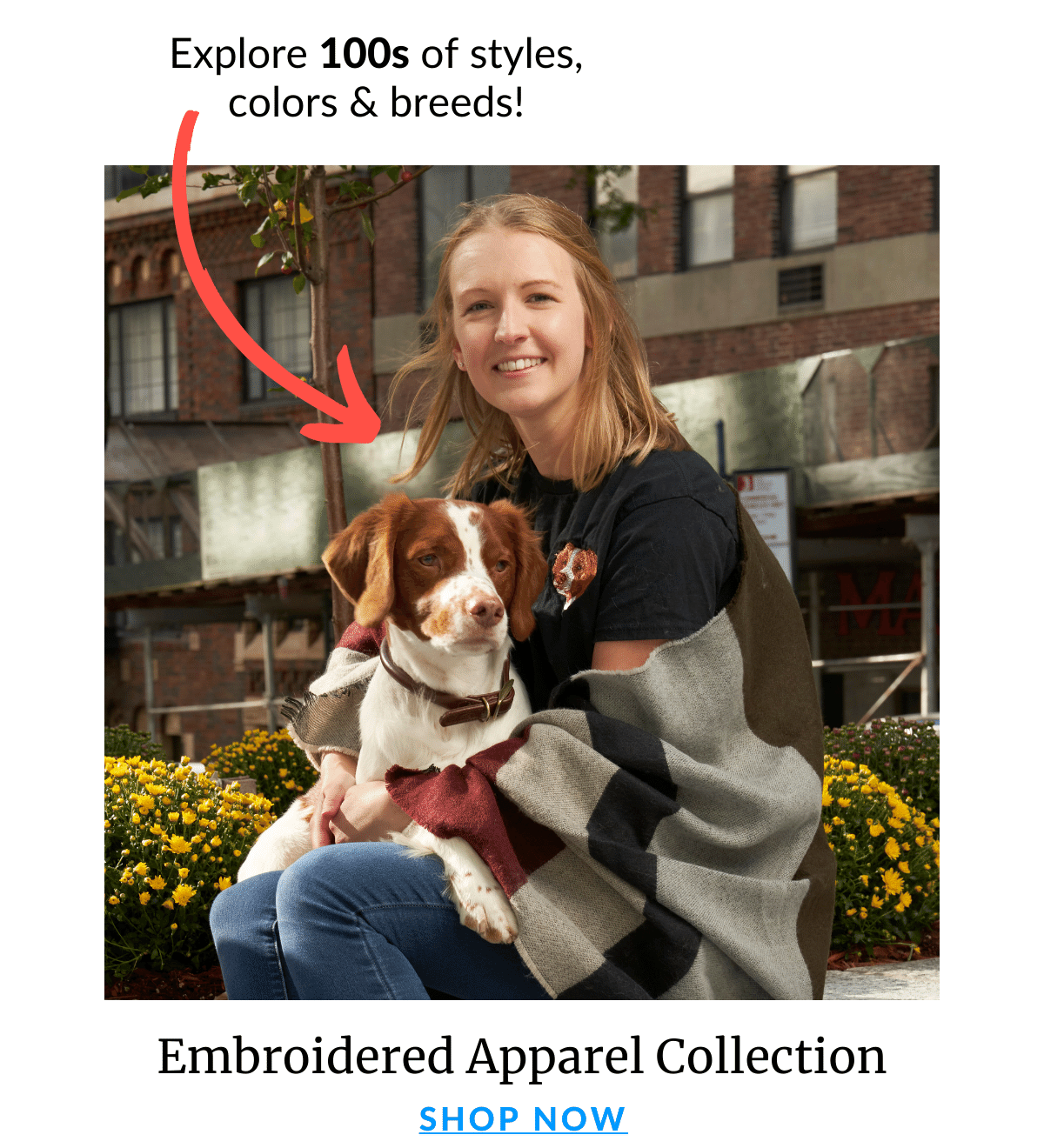 Shop Embroidery