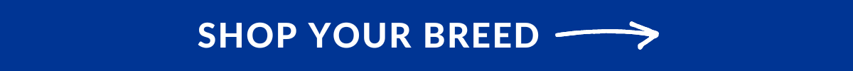 Shop Your Breed
