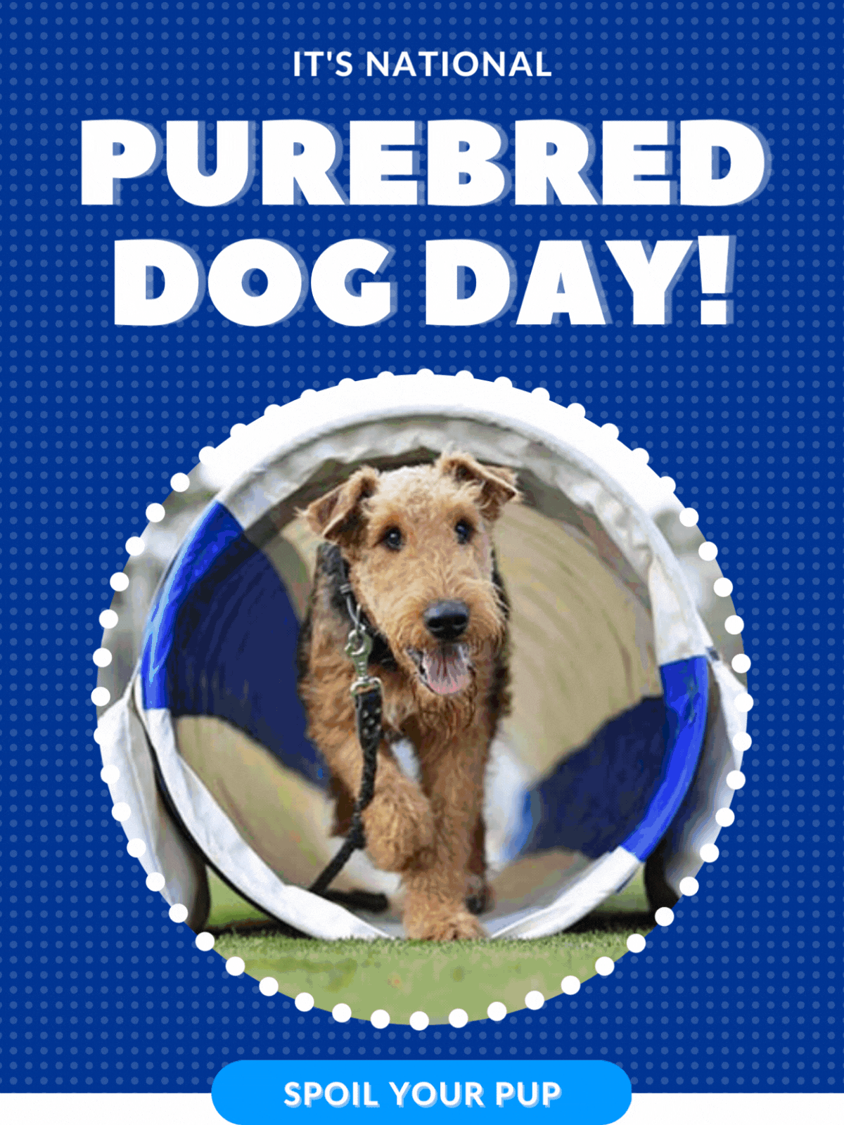 Celebrate Your Purebred Pup!