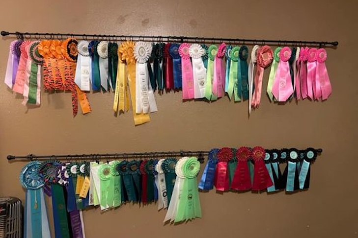 How Does a Dog Win a Dog Show?