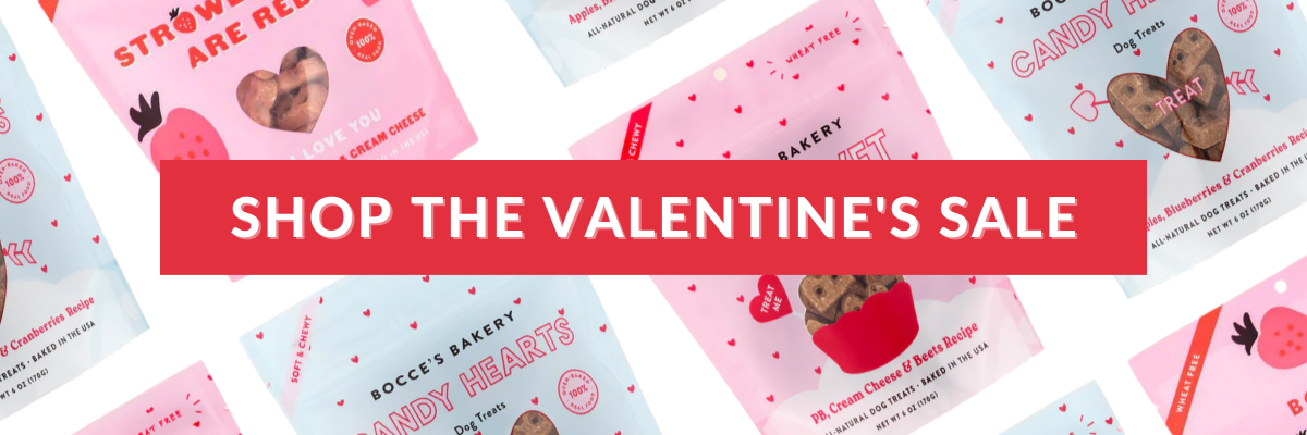 Explore our Valentine's Day Shop
