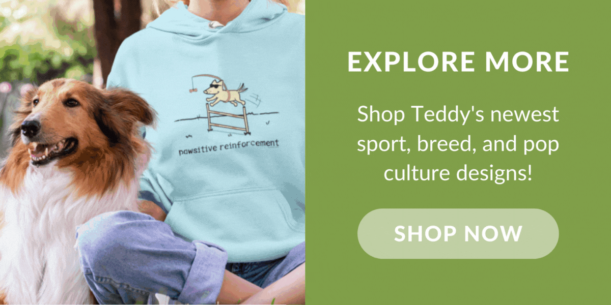 Explore all NEW Teddy!