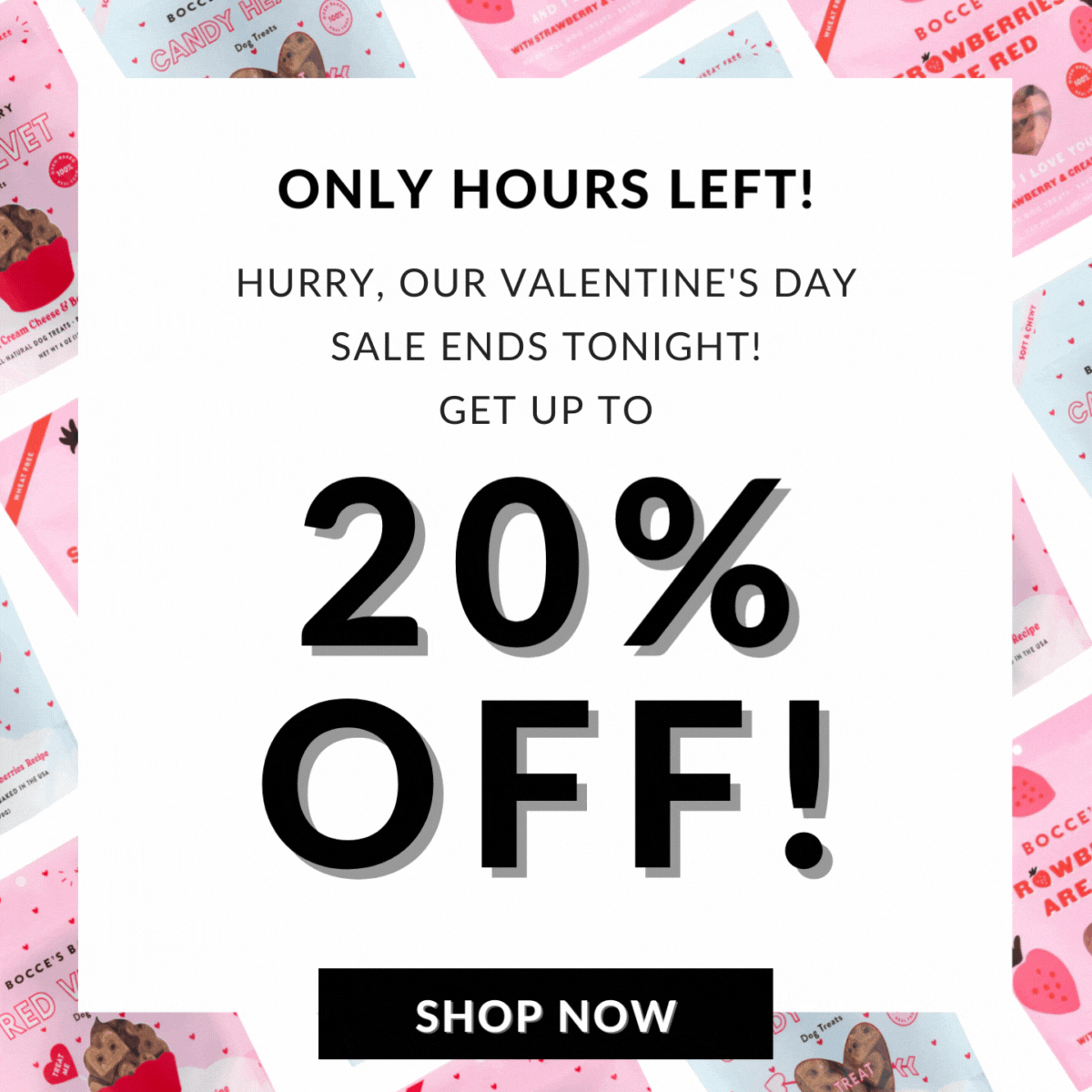 LAST CHANCE for the the Valentine's Day Sale!