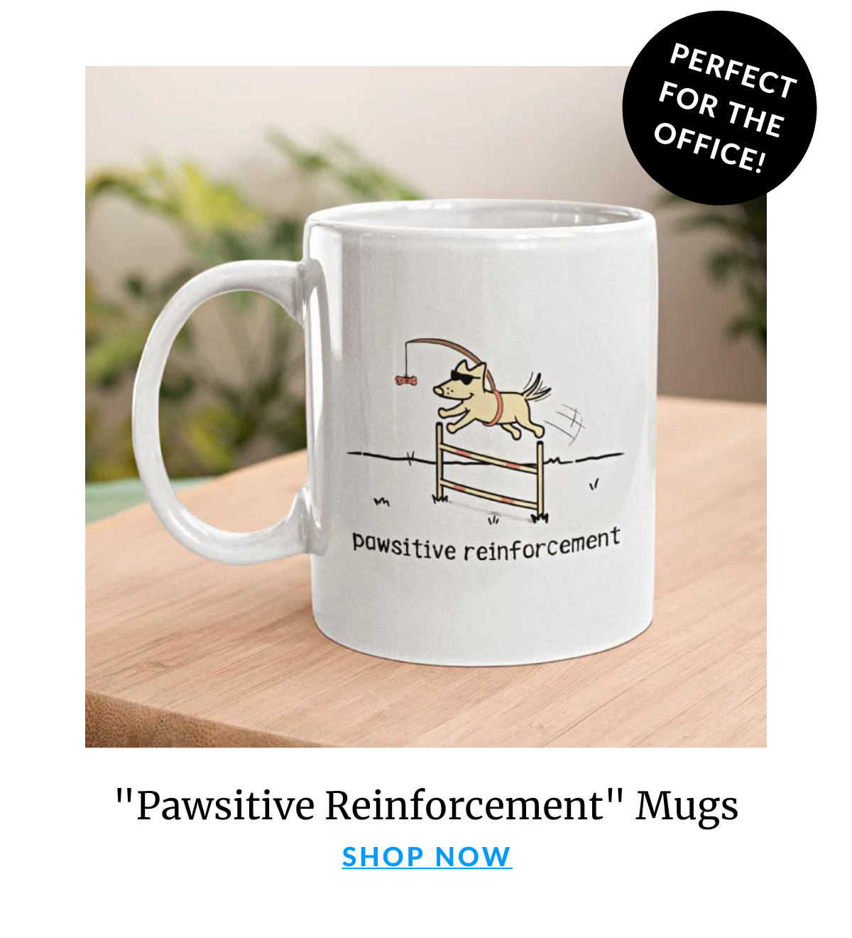 Shop The Pawsitive Reinforcement Collection