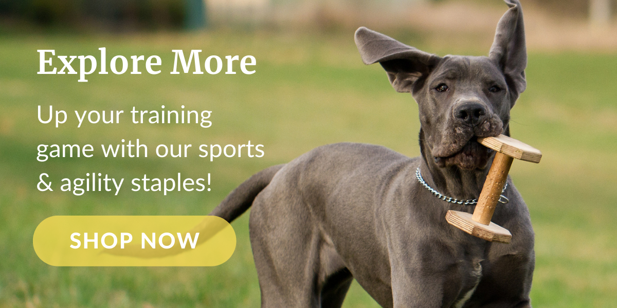 Shop Training & Sports Tools