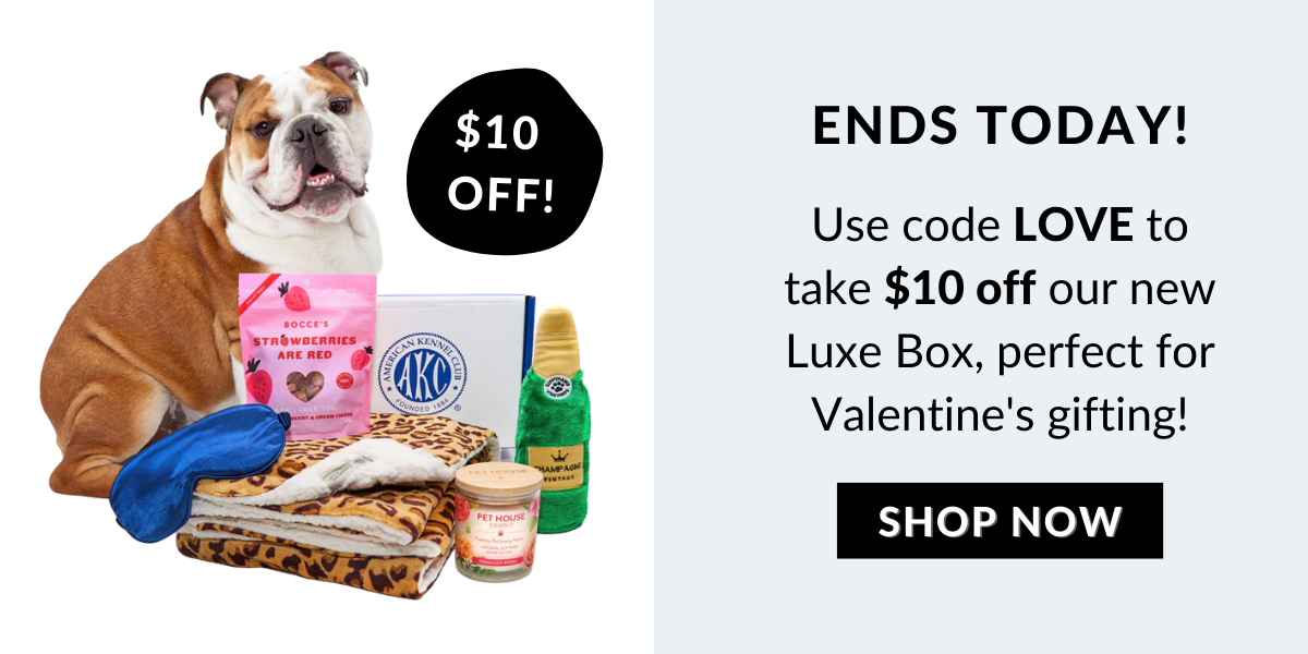 Shop The Luxe Box