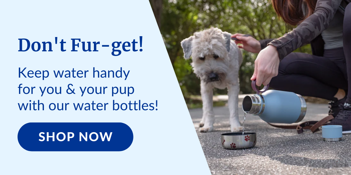 Shop Waterbottles