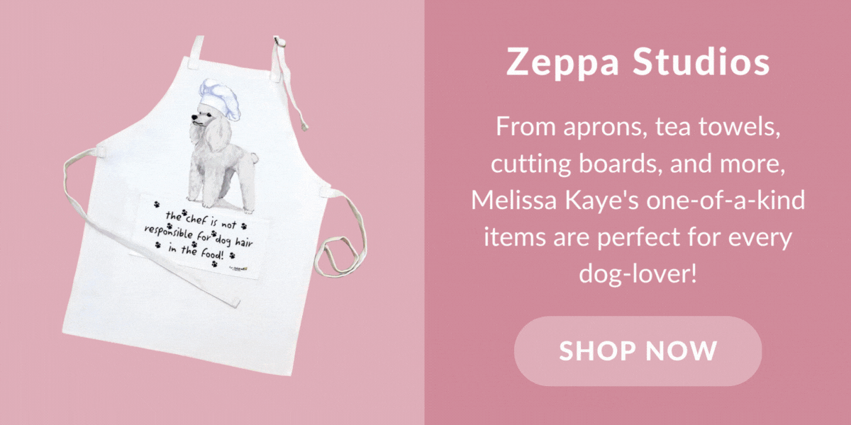 Shop Zeppa Studios