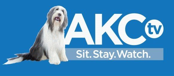 AKCtv