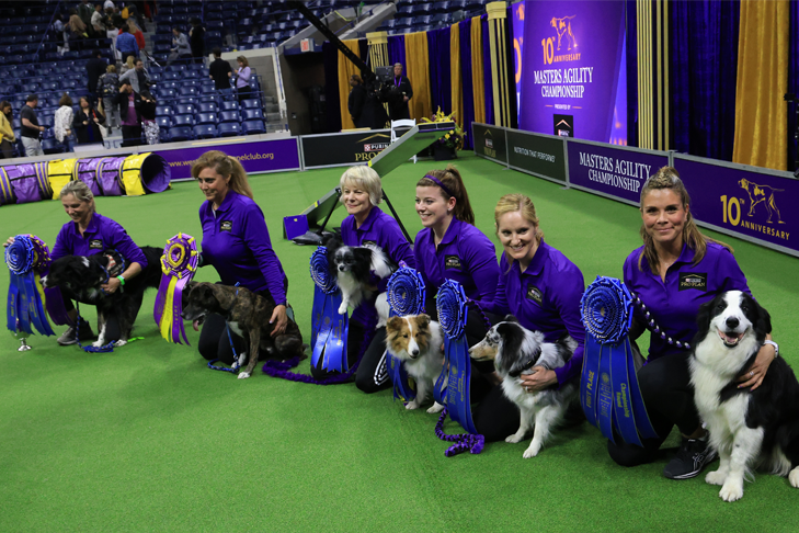 Truant Wins 2023 Agility Championship