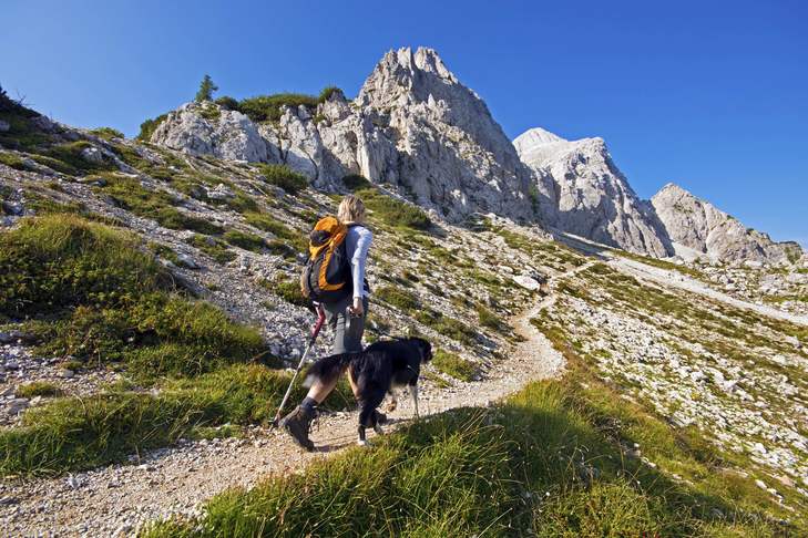 Hiking with Dogs