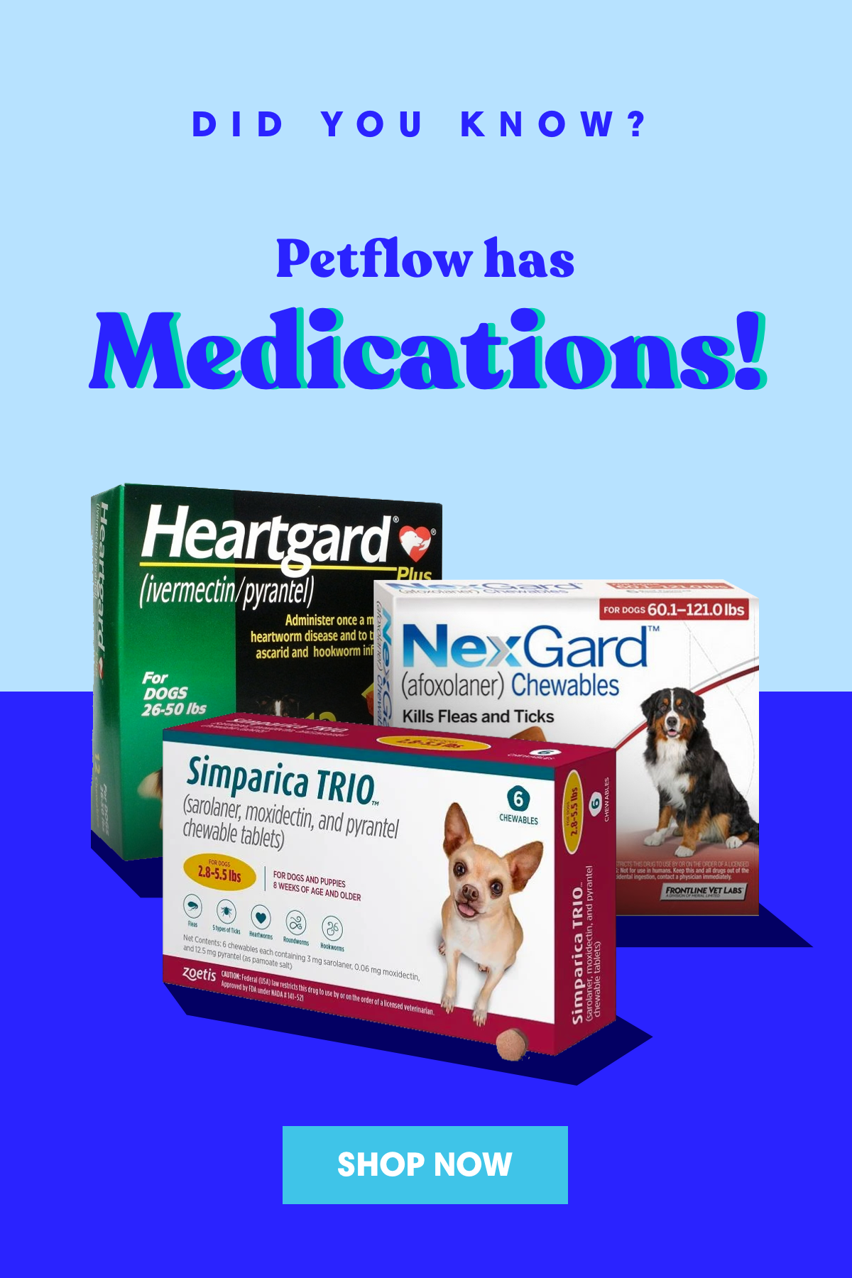 Did you know this? 😺 🐶 Pet Flow