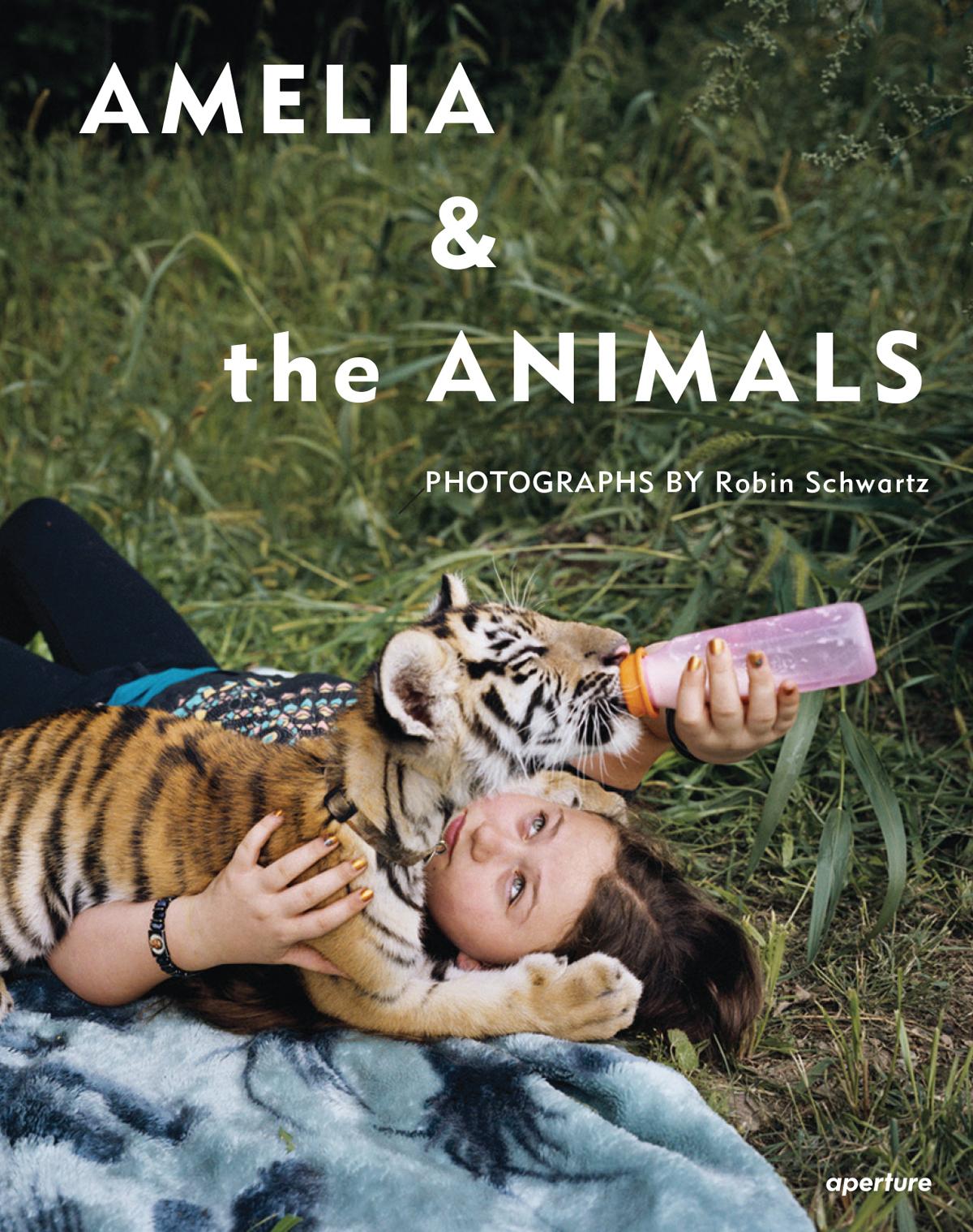 Book cover: ''Amerlia & the Animals'' featuring a photo of a young girl lying on a blanket on the grass, bottle-feeding a young tiger that is resting on top of her 