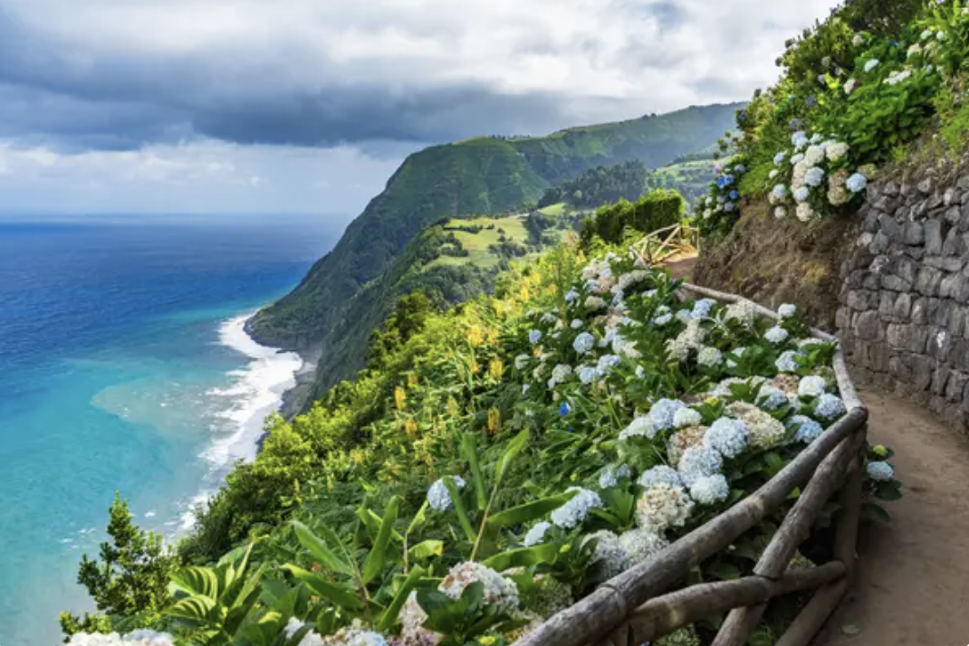 a flower-lined trail cuts through a cliff overlooking clear ocean waters