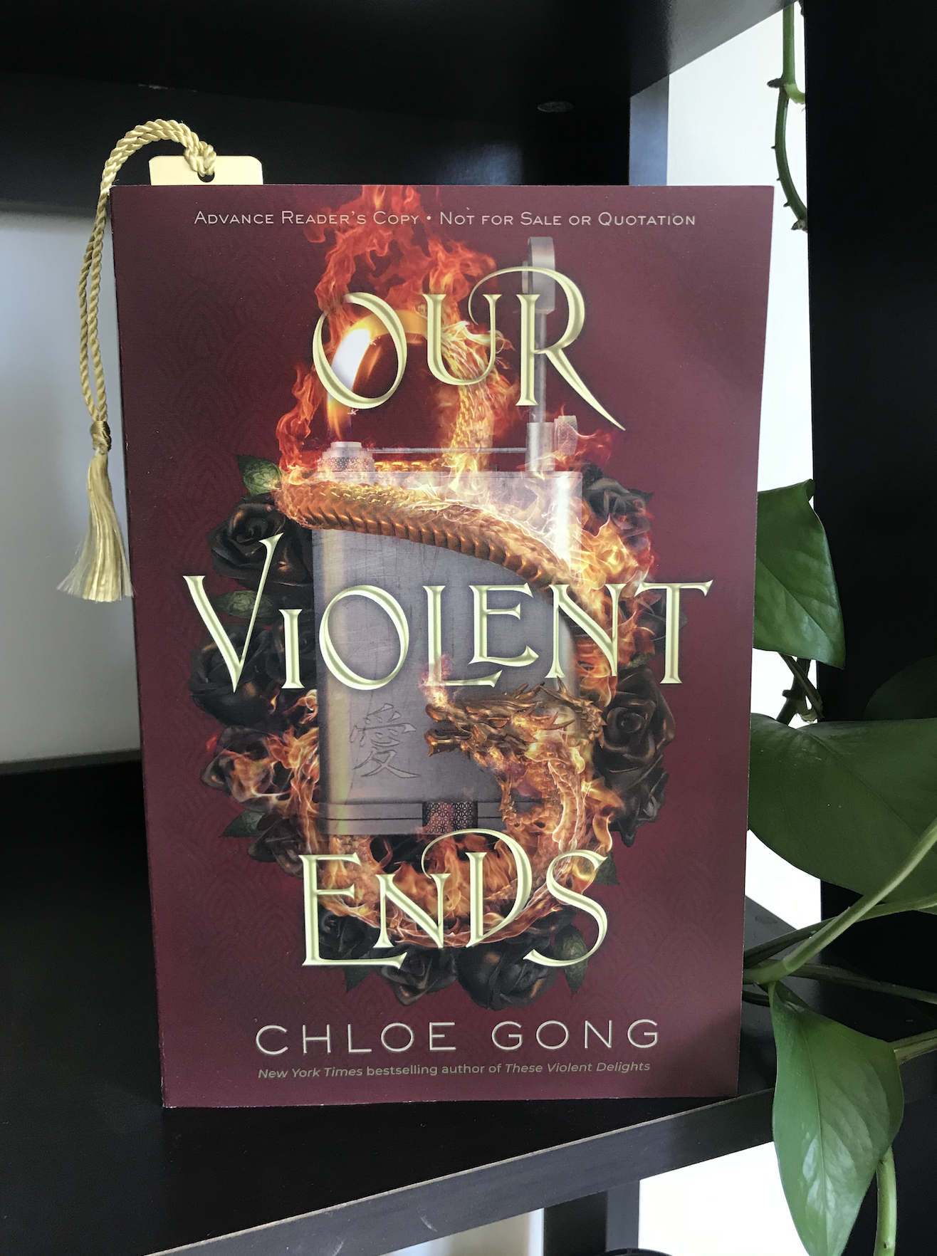a paper back copy of ''our violent ends'' stands up on a bookshelf with a hanging vine plant next to it a paper back copy of ''our violent ends'' stands up on a bookshelf with a hanging vine plant next to it