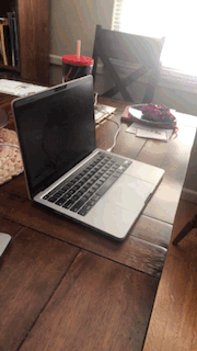 Screen Protector Screen Protector