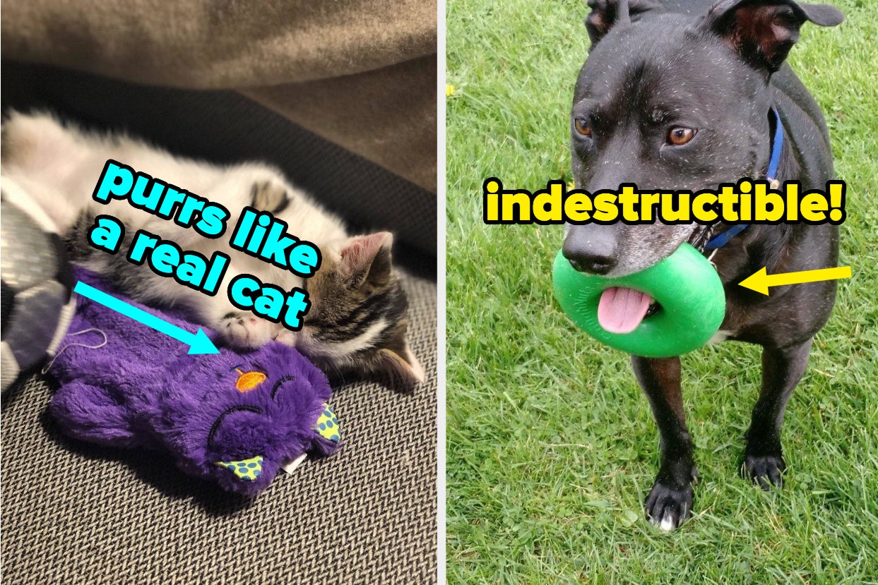 27 Problem-Solving Products For People Whose Pets Have Endless Energy