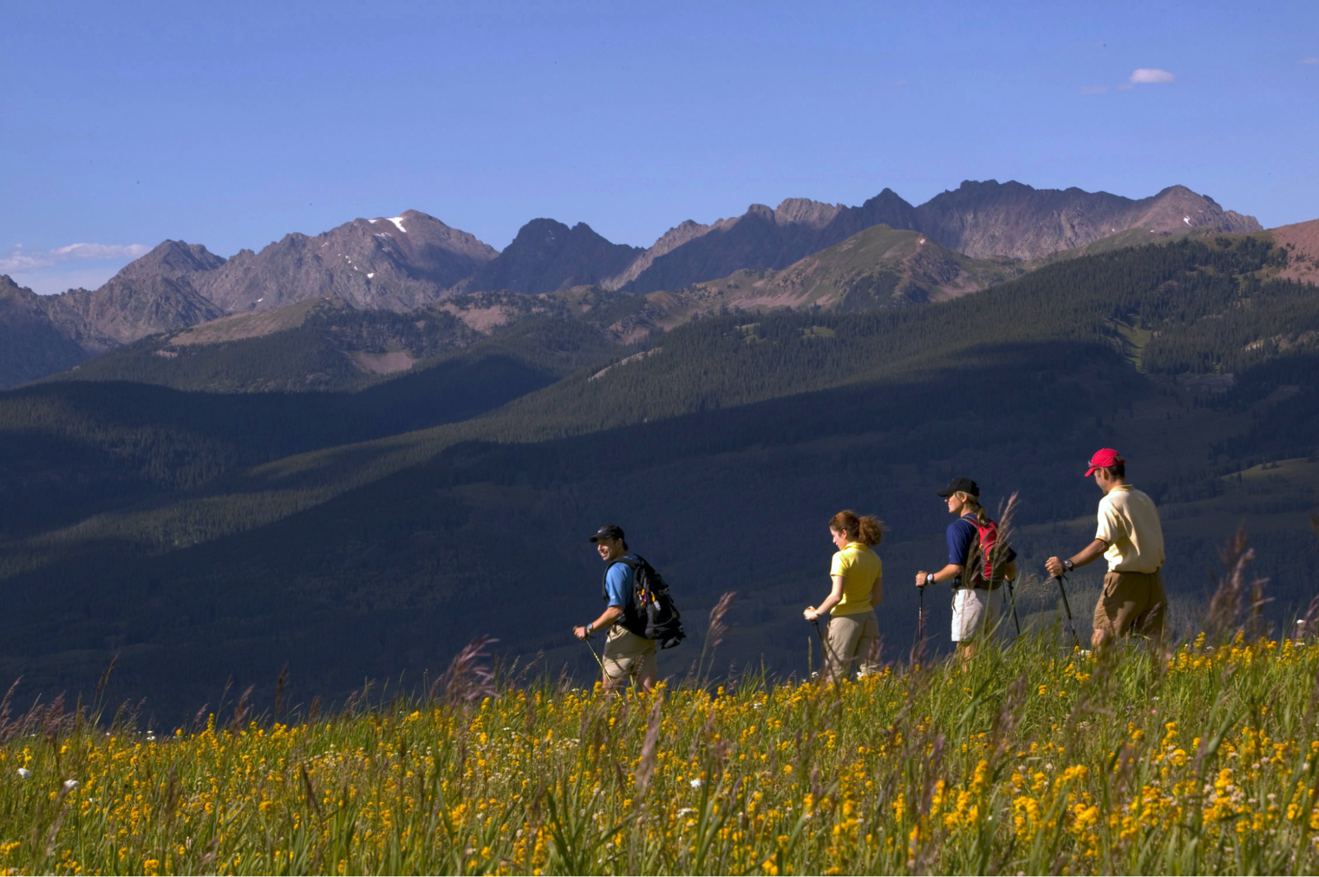 Four people hiking through a field in front of mountains