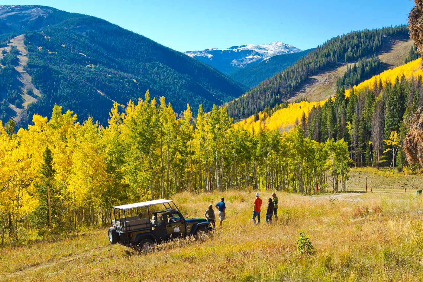 Five people standing next to a truck in a field in front of mountains