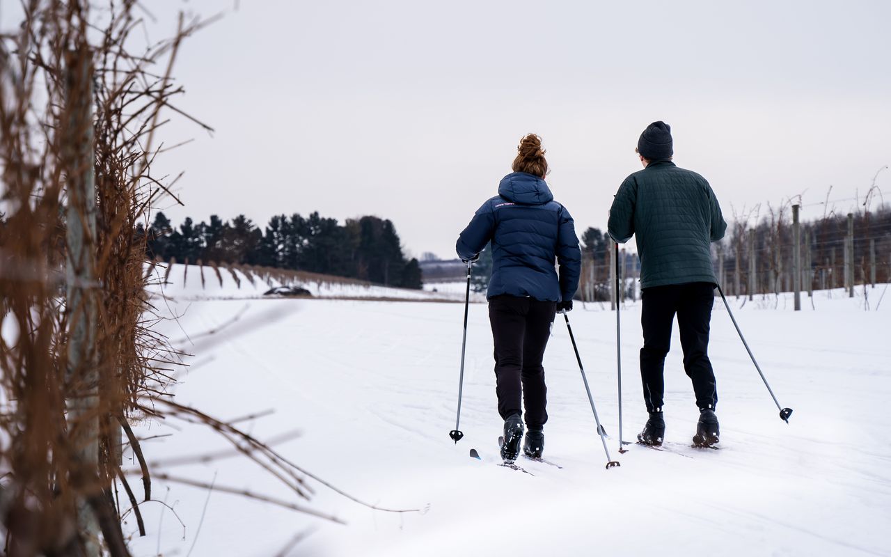 Two cross-country skiers ski through a vineyard 