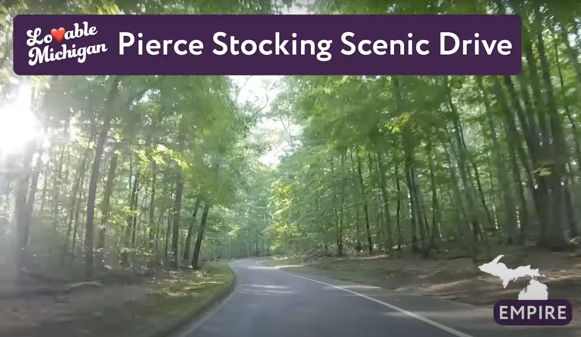 A narrow stretch of road lined with trees in summer