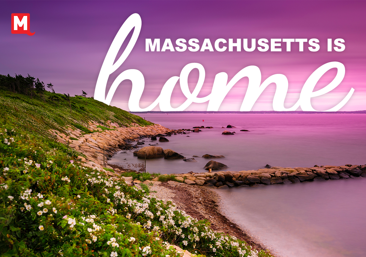 Massachusetts is home text over a photo of a grassy mound with flowers by the water